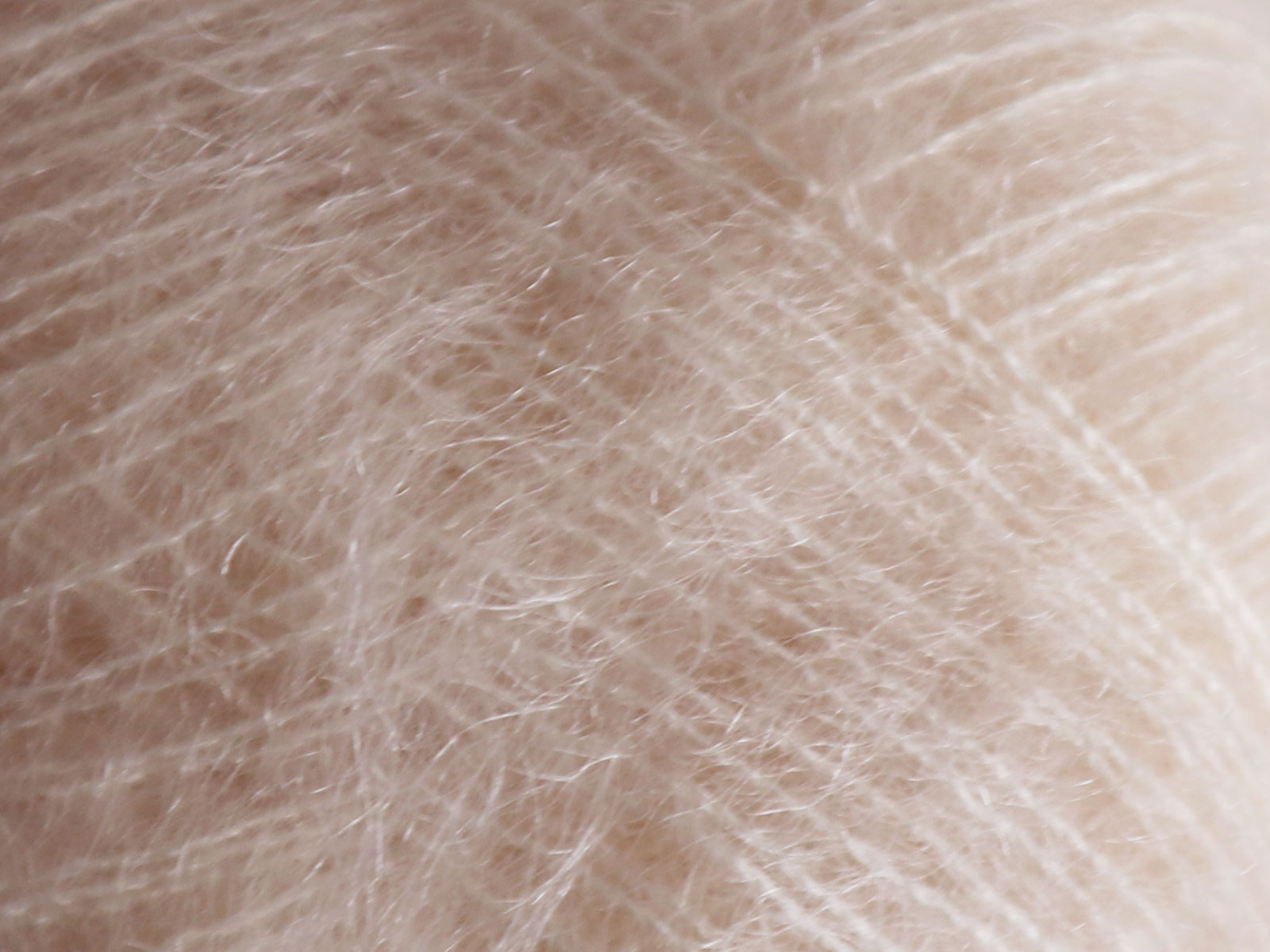 Tilia - 383 (Champagne)