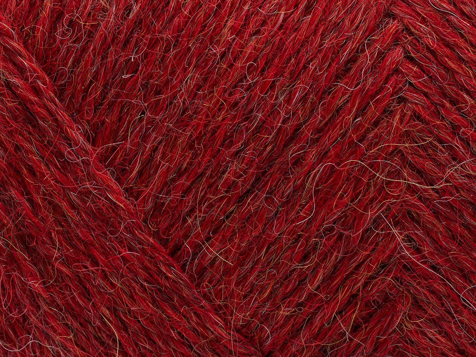 Vilja - 810 (Chrysanthemum melange)