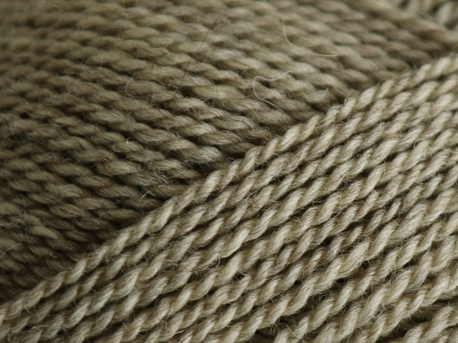 Mashdale - 397 (Wheat)