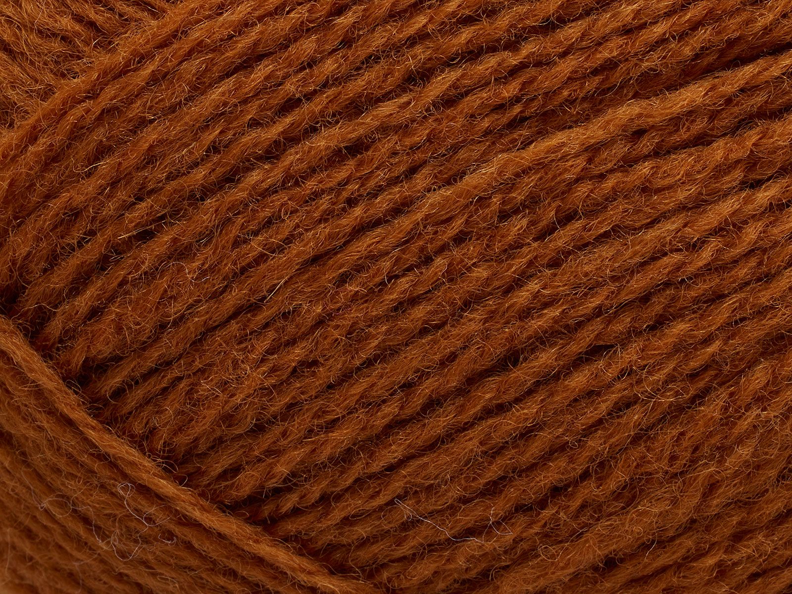 Saga - 366 (Sugar Almond)