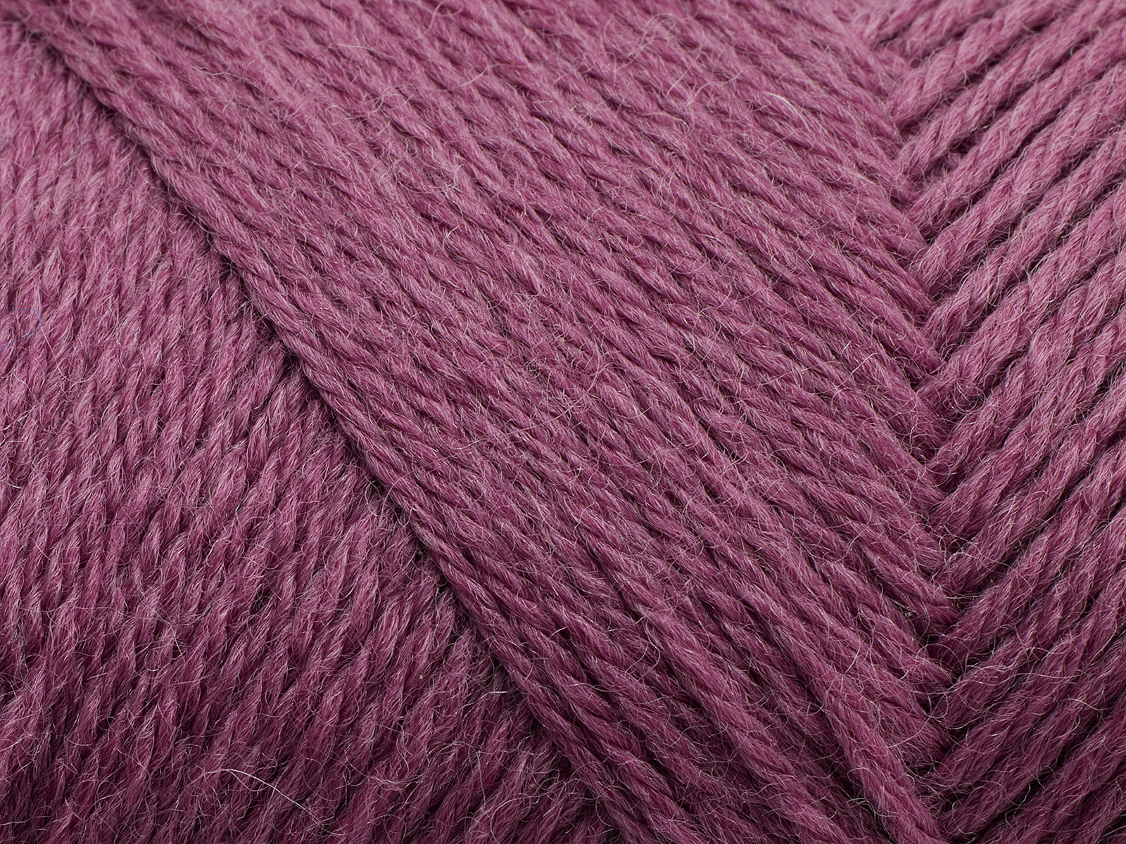 Arwetta - 236 (Red Clover)