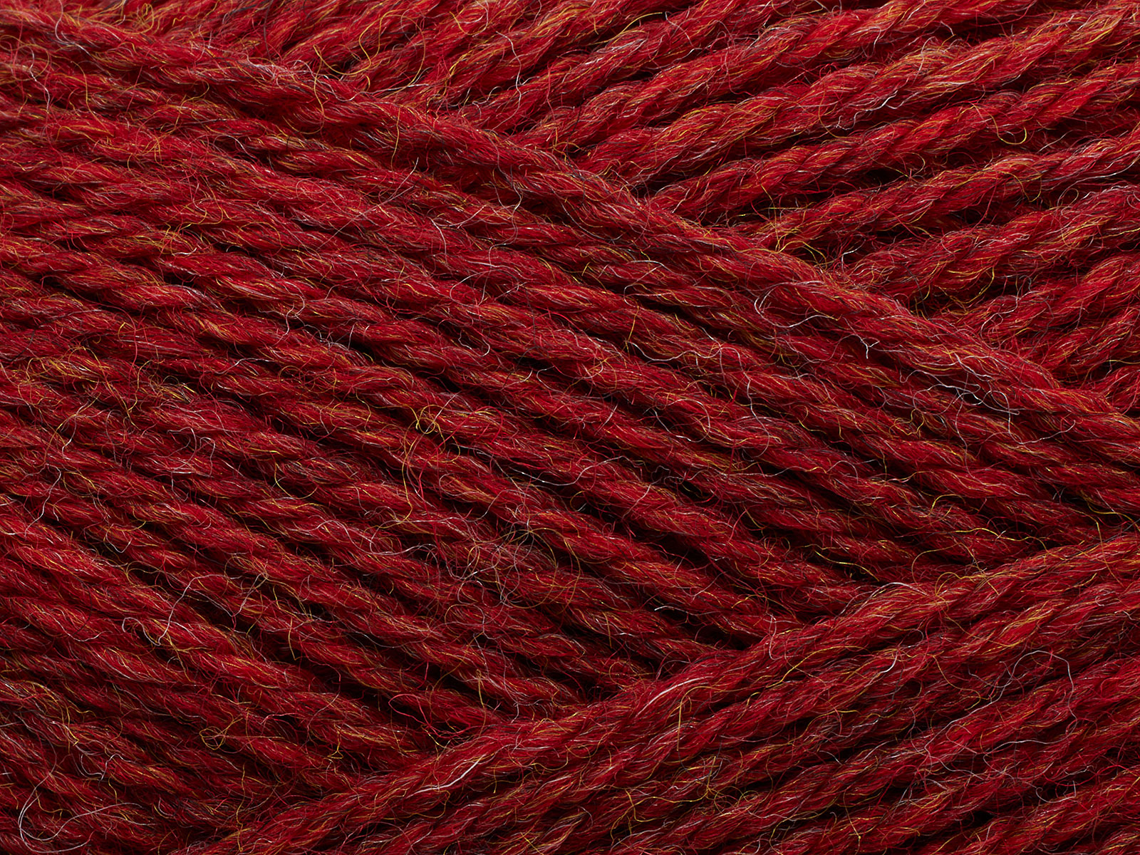 Pernilla - 810 (Chrysanthemum)