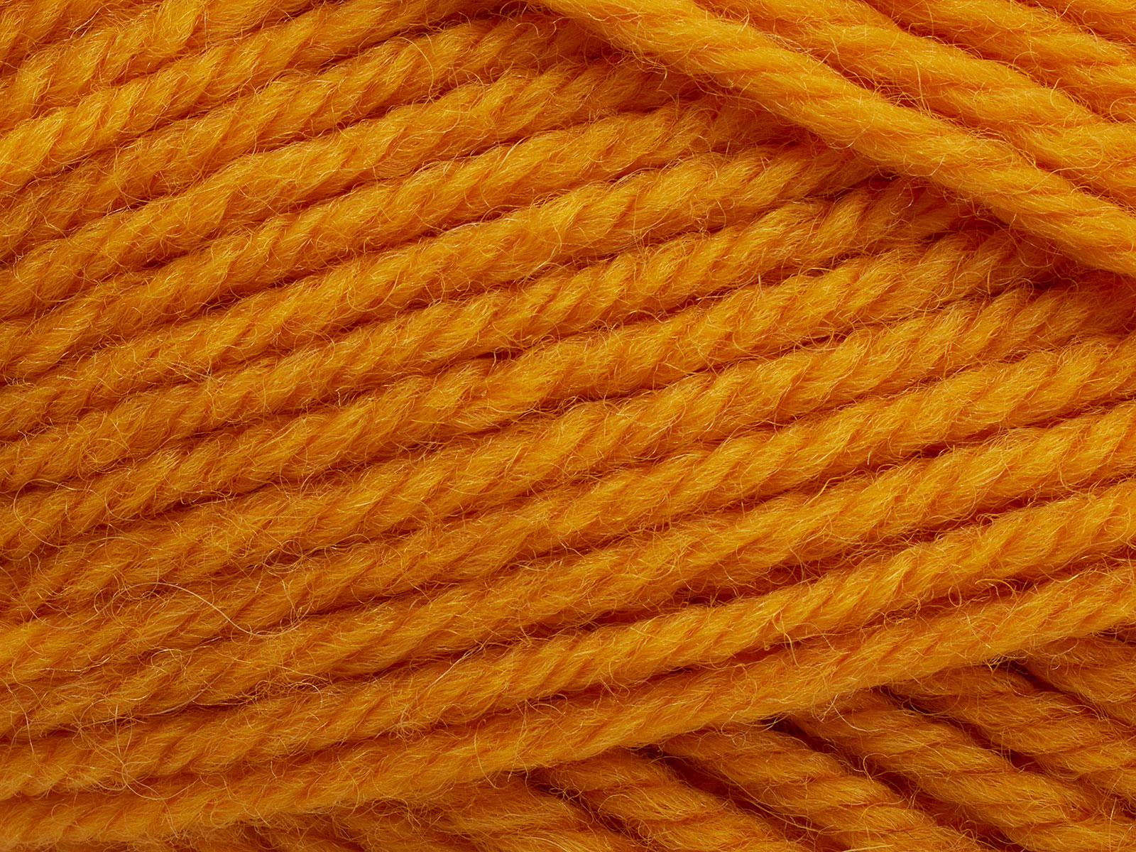 Peruvian - Kumquat (284)