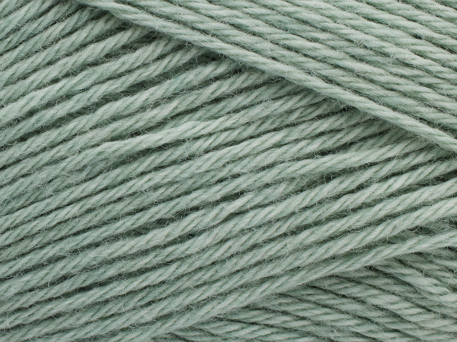 Merci - 1390 (Salvia)