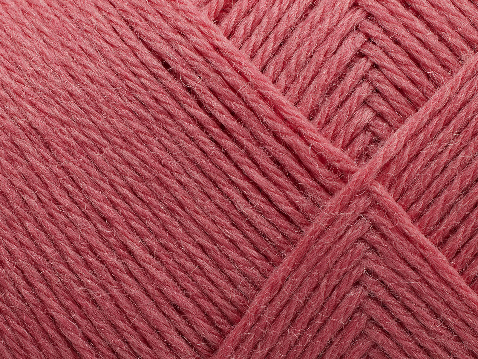 Arwetta - 361 (Madeira Rose)