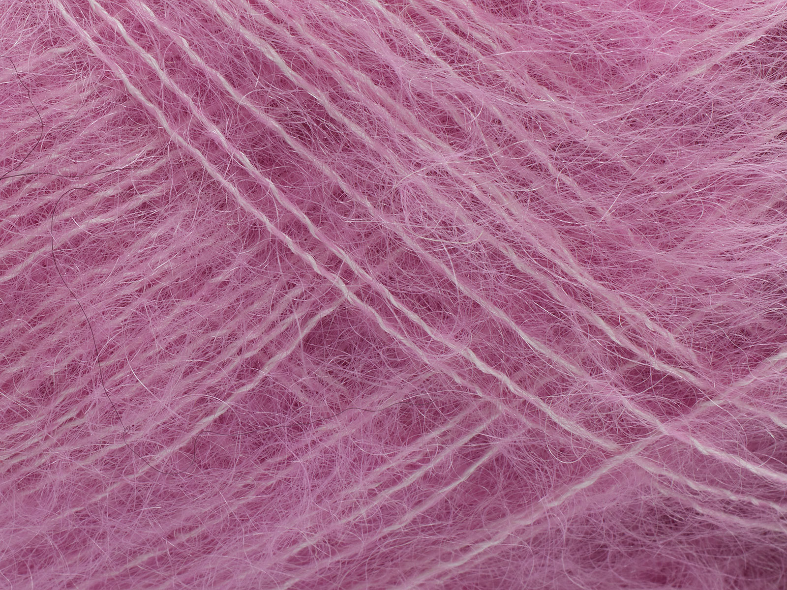Tilia - Begonia Pink (322)