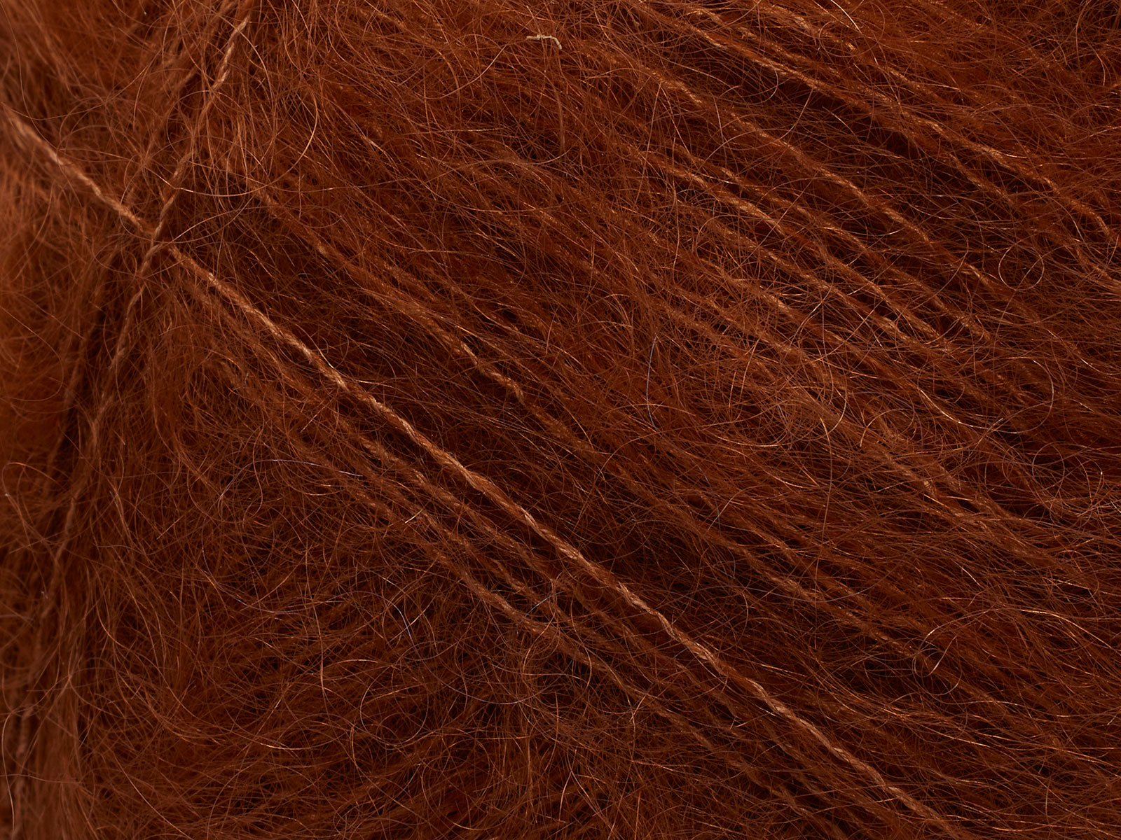 Tilia - 352 (Red Squirrel)