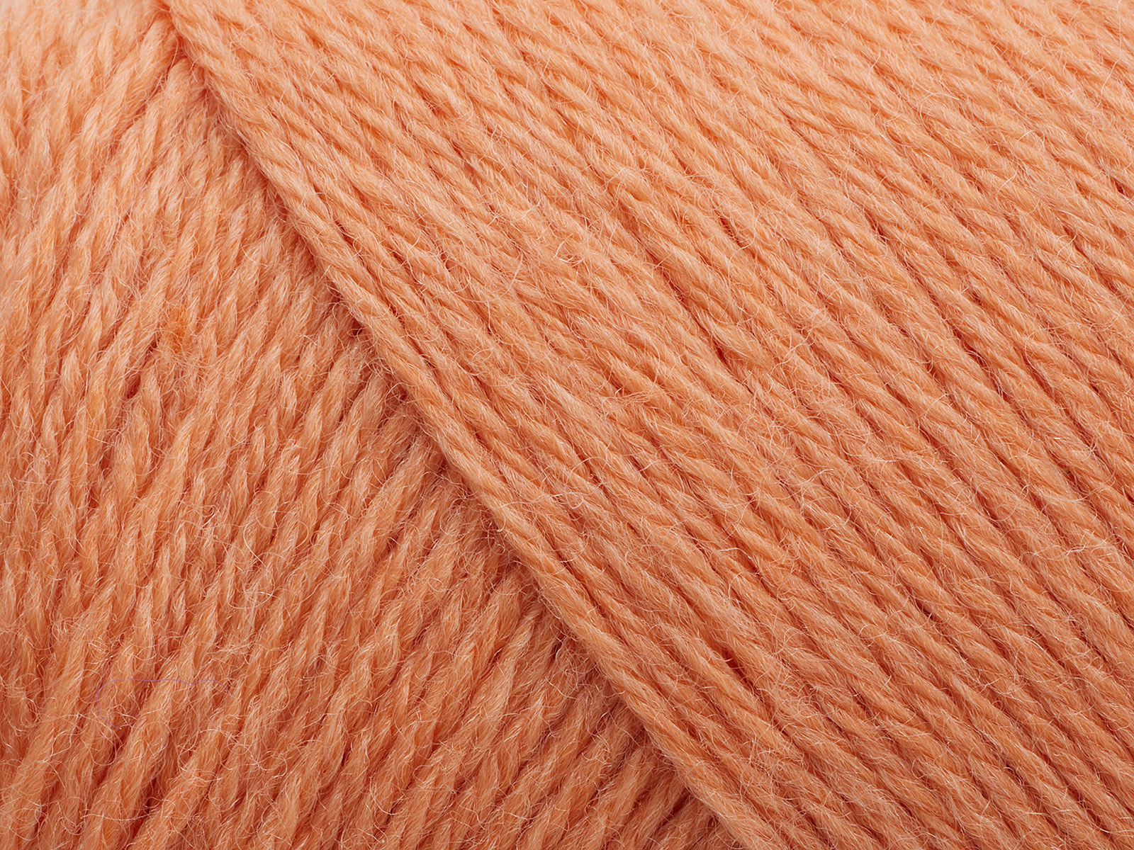 Arwetta - Coral (254)