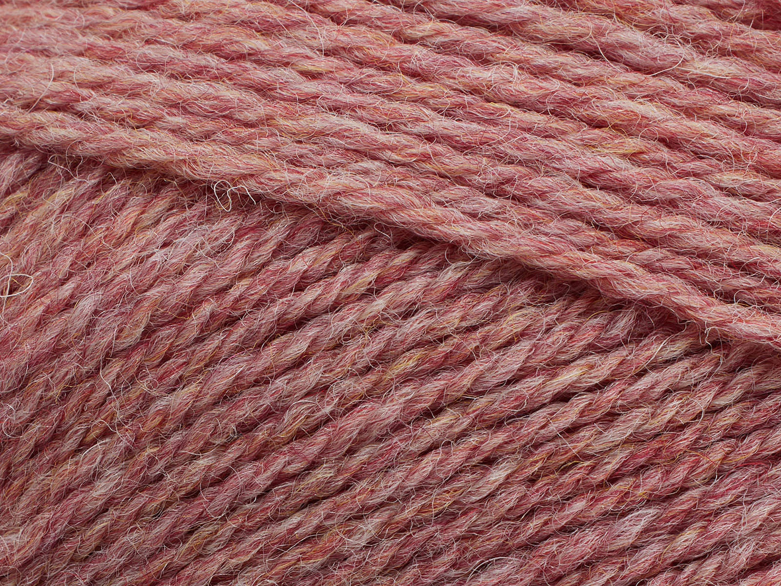 Pernilla - 830 (Ranunculus)