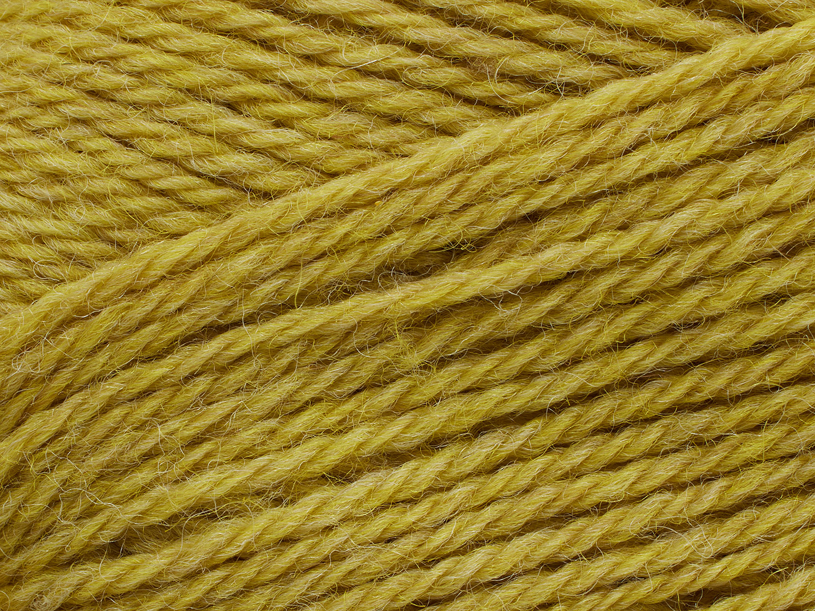 Pernilla - 825 (Acacia)