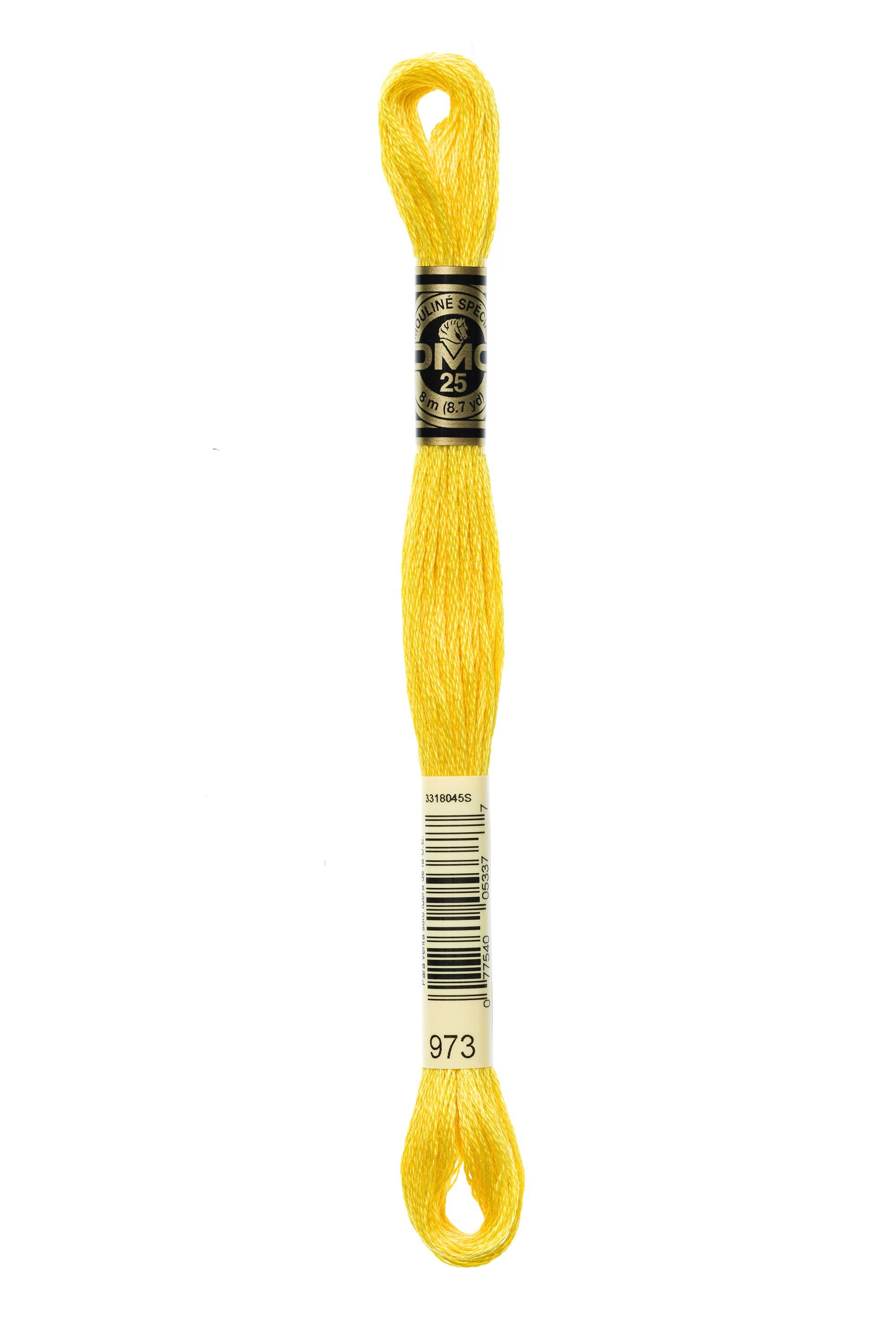 DMC Mouline Special - 973