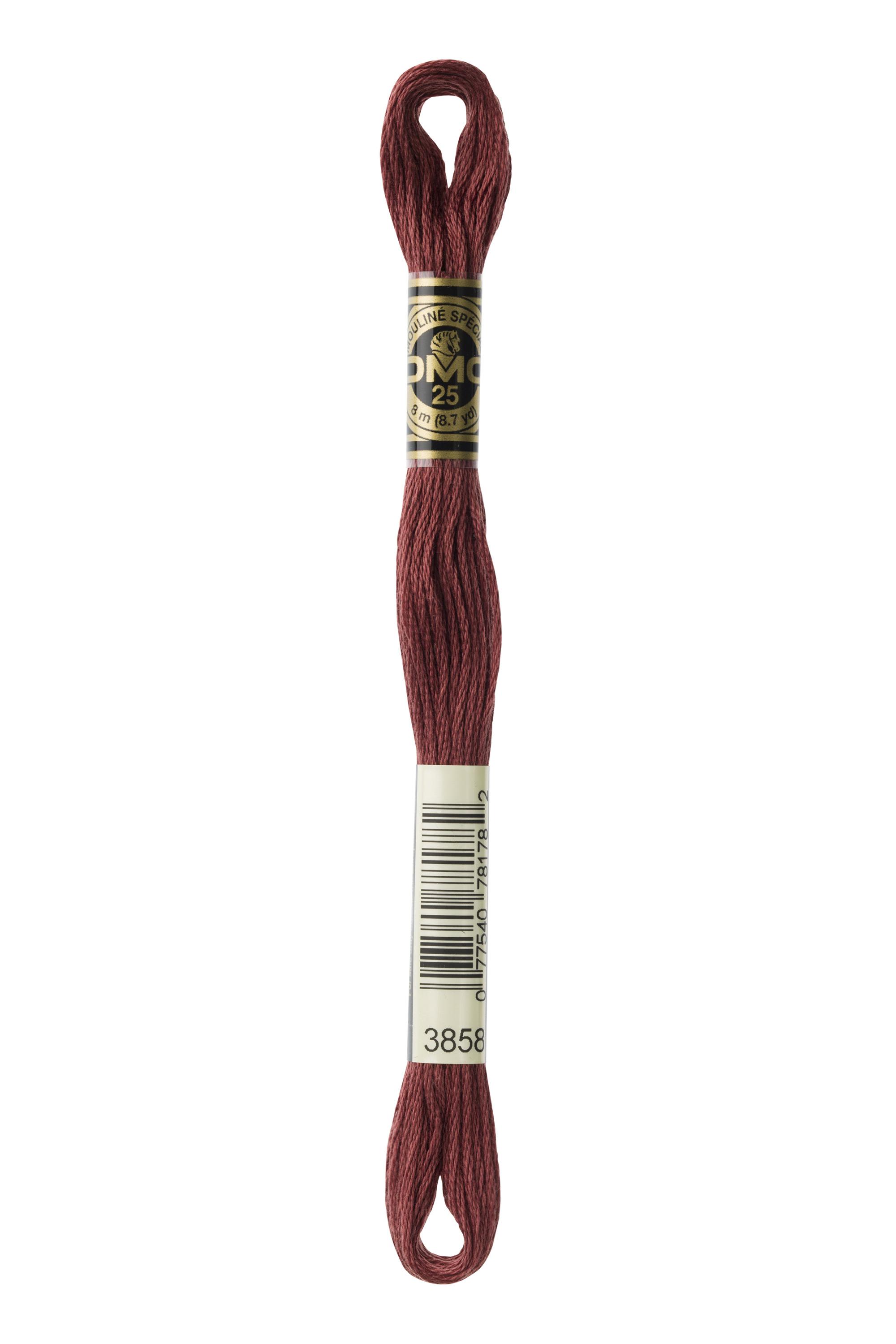 DMC Mouline Special - 3858