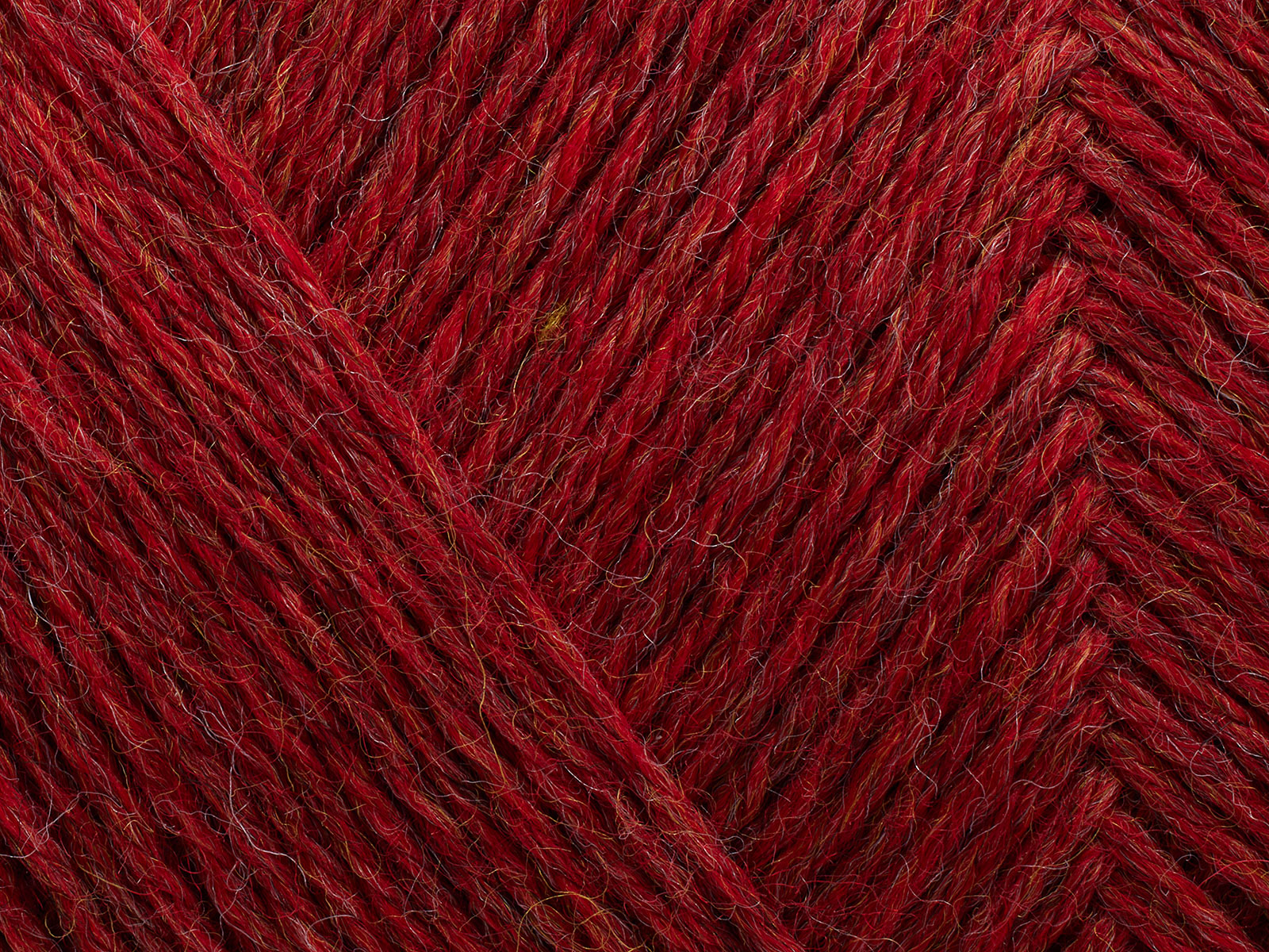 Arwetta - 810 (Chrysanthemun melange)