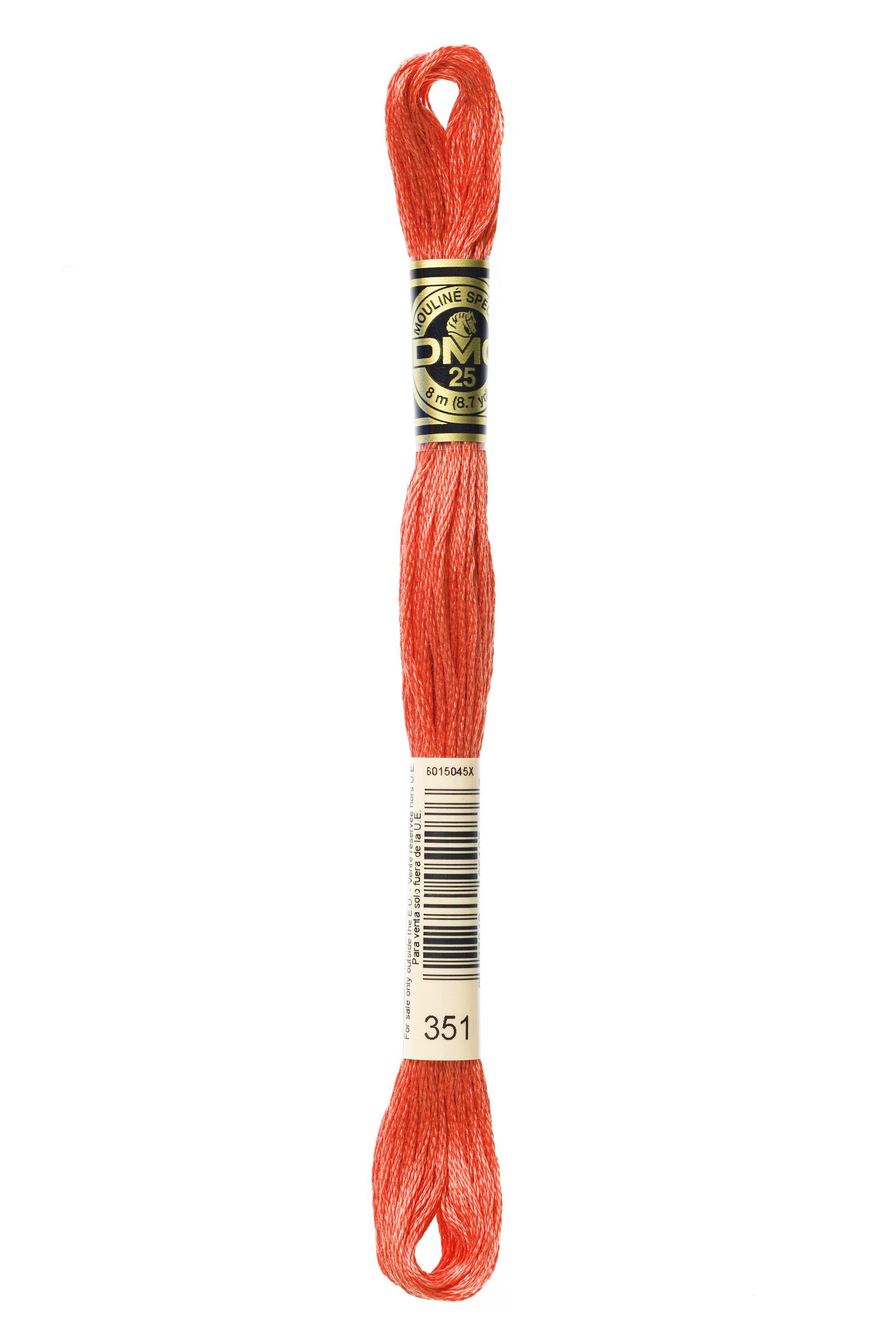 DMC Mouline Special - 351