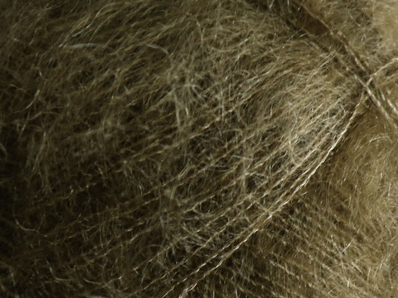 Tilia - 386 (Olive Noir)
